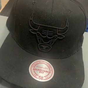 Chicago bulls snap back